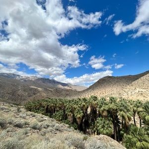 Meet your Posher, Kiersten